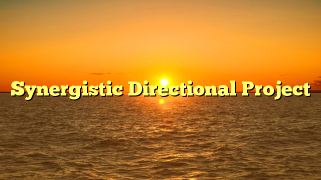 Synergistic Directional Project