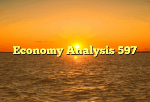 Economy Analysis 597